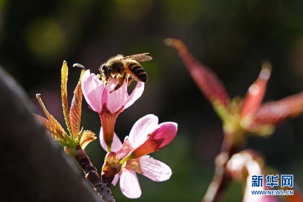 138682570_15783030658701n 138682570_15783030658701n