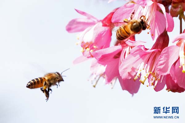 138682570_15783030659881n 138682570_15783030659881n