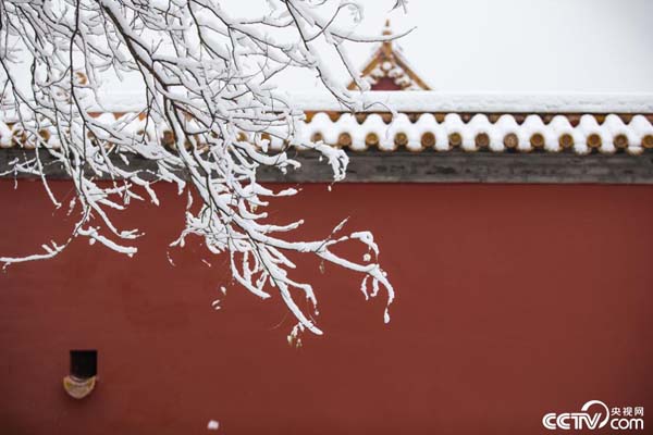 PHOT1MgIsPTnHLdFitVElvKO200106_1000x2000