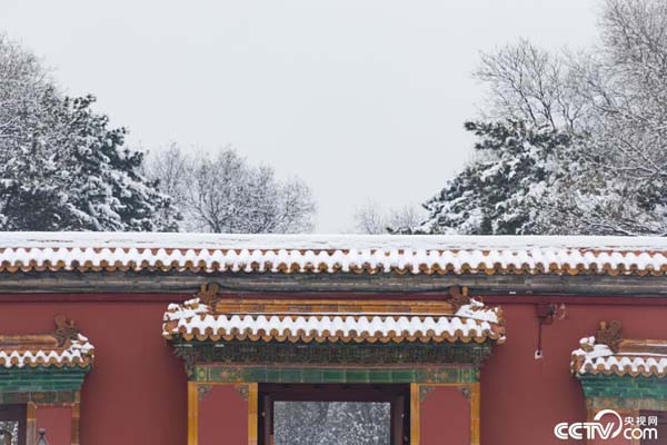 PHOT2XSAZpFHix6btgGKFNyi200106_1000x2000