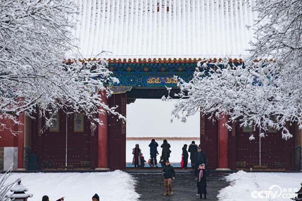 PHOTDUj1QSRdFRSZ06X4JJRx200106_1000x2000