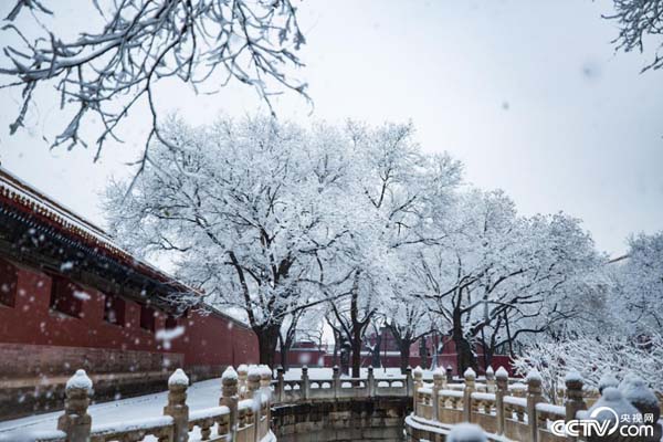 PHOTHFEmkPy3eGzedt5D4TIb200106_1000x2000