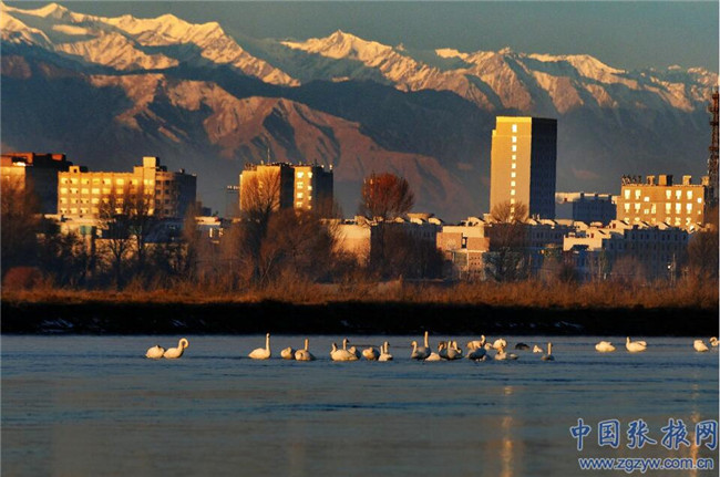 QQ截圖20200107181735 QQ截圖20200107181735