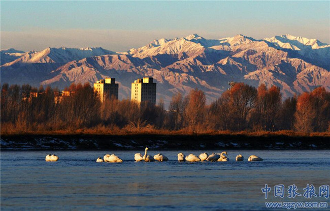 QQ截圖20200107181750 QQ截圖20200107181750