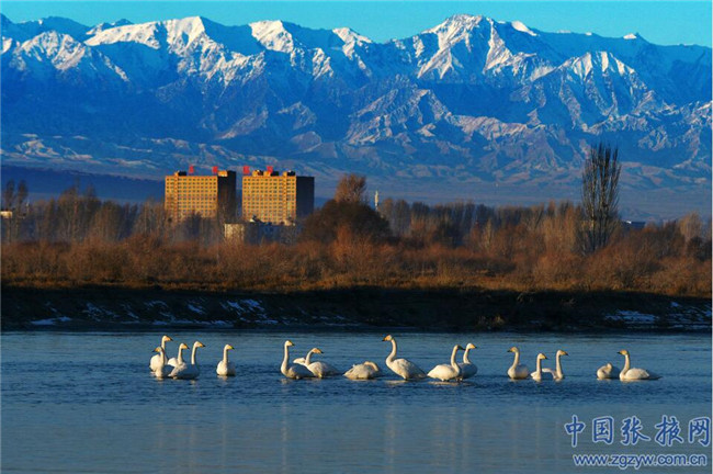 QQ截圖20200107181801 QQ截圖20200107181801