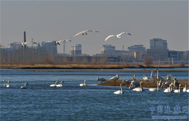 QQ截圖20200107181815 QQ截圖20200107181815