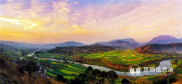 圖4 金色螳川。鄧洪 攝