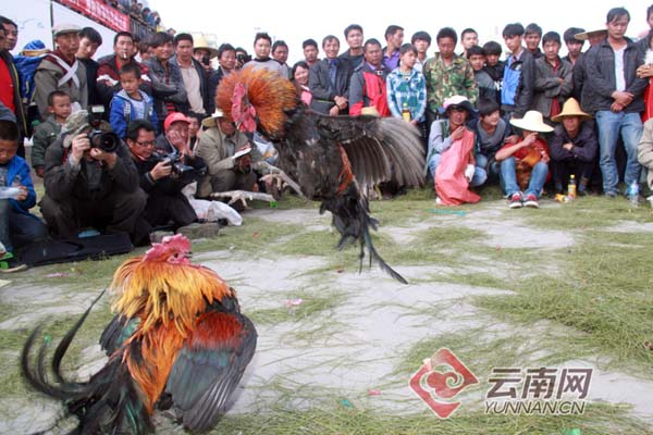 00301329622_194e3f1e