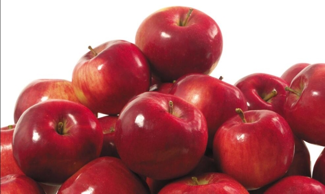 QQ截圖20200109142623 QQ截圖20200109142623