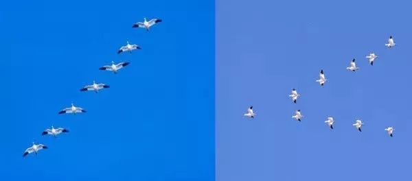 640.webp (1) 640.webp (1)