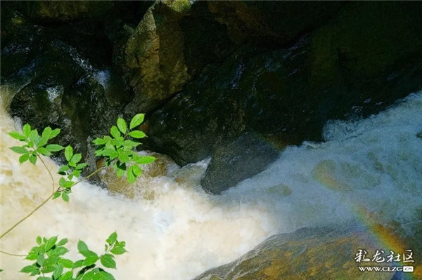 昆明信息港彩龍社區(qū)網(wǎng)友cjs 攝.webp