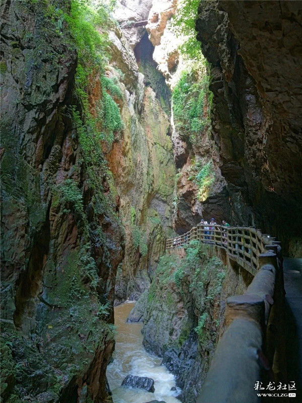 昆明信息港彩龍社區(qū)網(wǎng)友cjs 攝1.webp