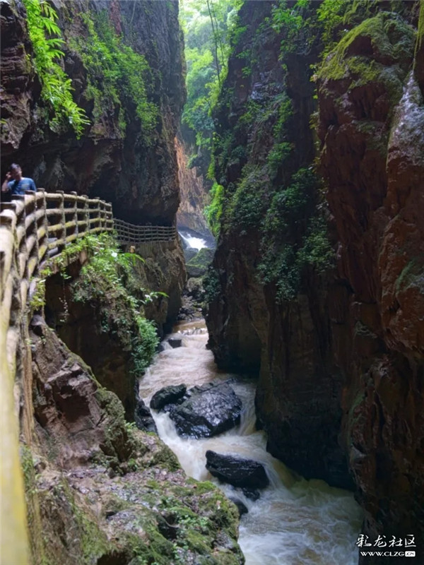 昆明信息港彩龍社區(qū)網(wǎng)友cjs 攝2.webp