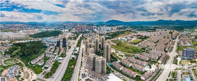 1245887719 1245887719