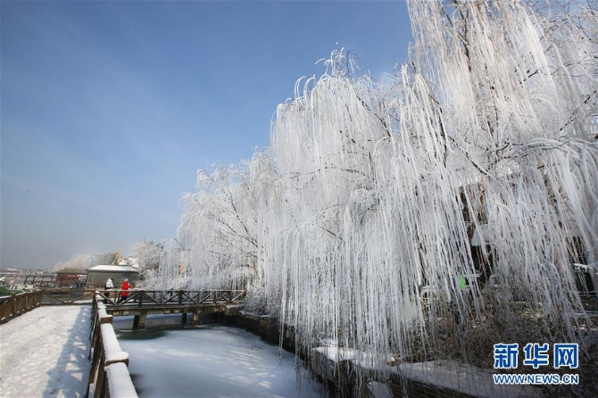 山東聊城3 山東聊城3