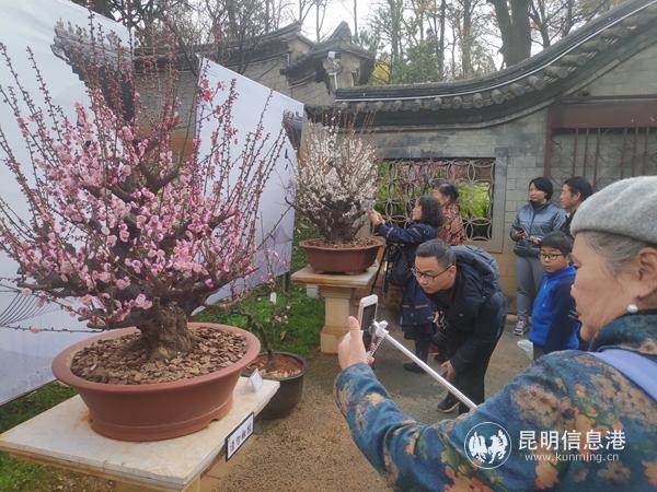 IMG_20200110_112033 IMG_20200110_112033