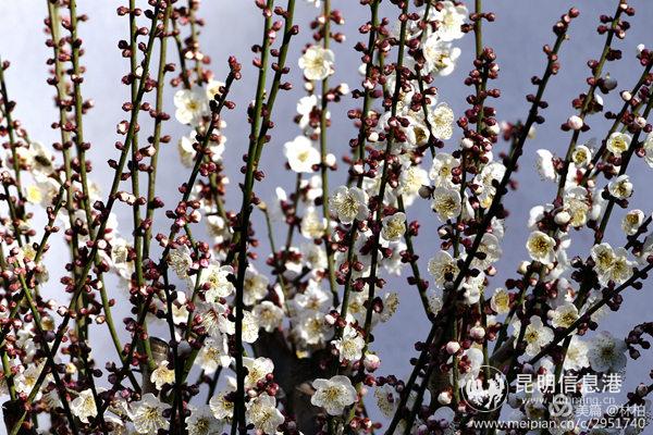 mmexport1578654827971 mmexport1578654827971