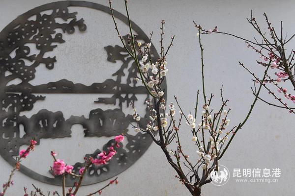 mmexport1578656223946 mmexport1578656223946