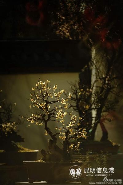 mmexport1578657401636 mmexport1578657401636