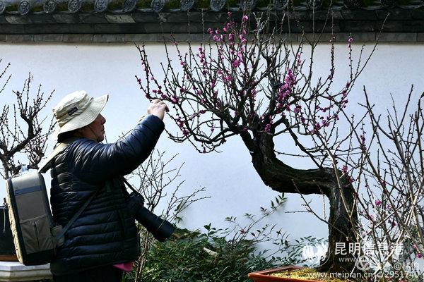 mmexport1578654834875 mmexport1578654834875