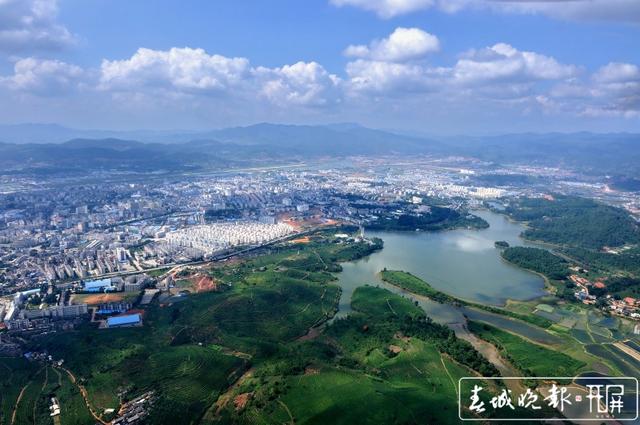 普洱茶十項標準