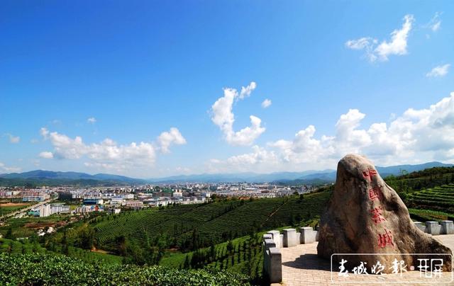 普洱茶十項標準