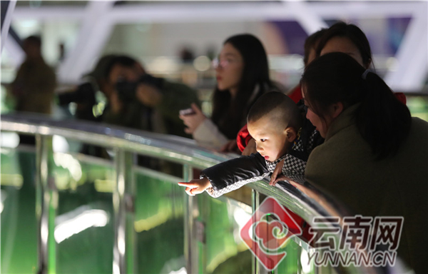 00301337767_578a6978 00301337767_578a6978