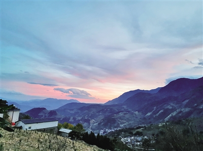 云南百花嶺:“青鳥”探出致富路 云南百花嶺:“青鳥”探出致富路