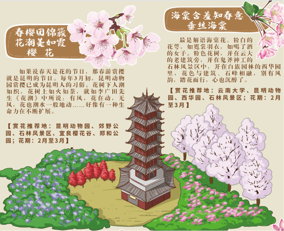 昆明賞花手繪地圖芬芳“出爐”,城市文旅品牌新嘗試