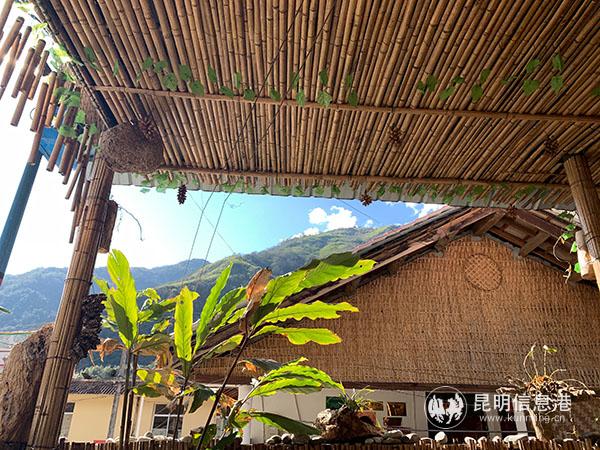 草果園農(nóng)家樂(lè)一角。