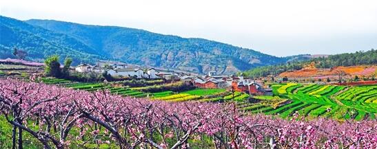 QQ截圖20200117080212 QQ截圖20200117080212