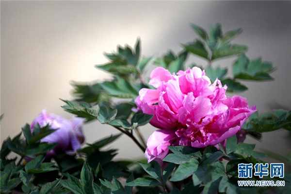 138710253_15791673233411n