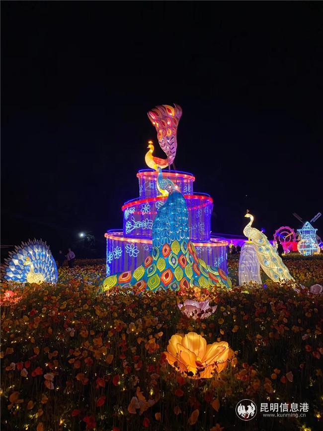 mmexport1579270332084