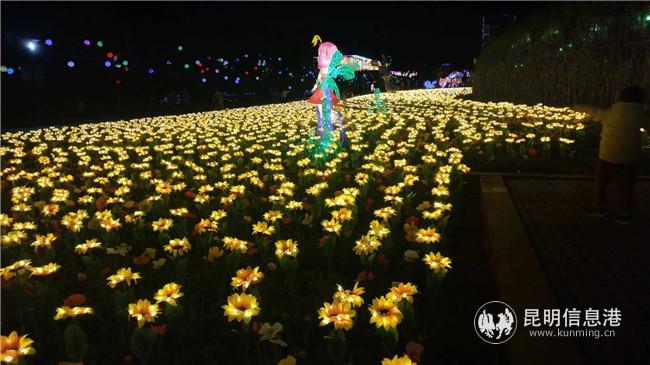 mmexport1579272521209