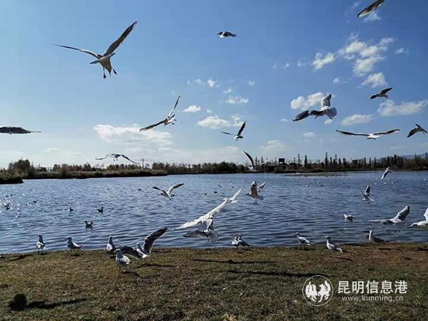 微信圖片_20200106102111