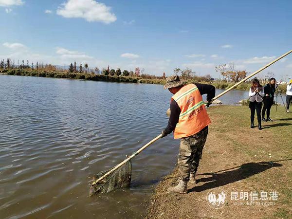 飄浮物現(xiàn)在少了，李艷偉的工作也輕松了