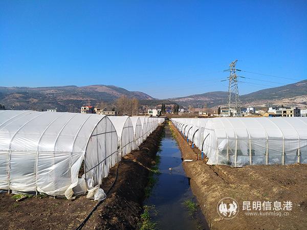 華泥產(chǎn)業(yè)扶貧基地一角。記者江楓攝