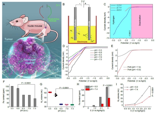 長春應化所提出電化學法癌癥活體氫氣治療策略 長春應化所提出電化學法癌癥活體氫氣治療策略