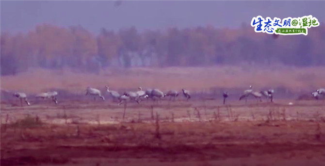 20200119144259256511 20200119144259256511