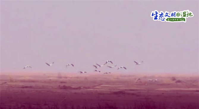 20200119144302464892 20200119144302464892