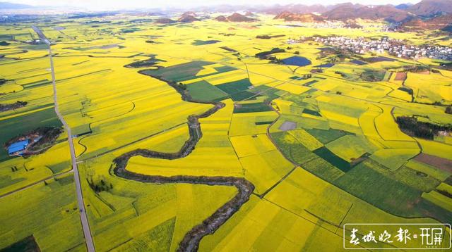 大飽眼福之旅 過(guò)年羅平春光正好 (9).jpg