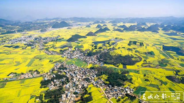 大飽眼福之旅 過(guò)年羅平春光正好 (6).jpg