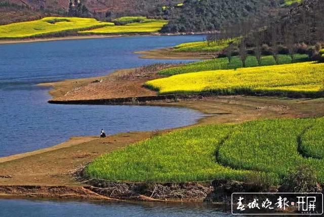 大飽眼福之旅 過(guò)年羅平春光正好 (3).jpg