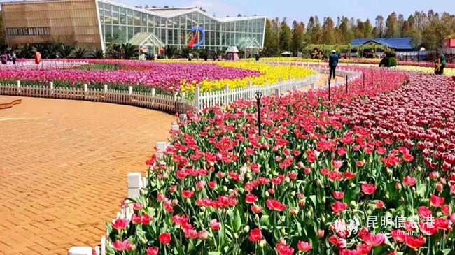 mmexport1579436762529