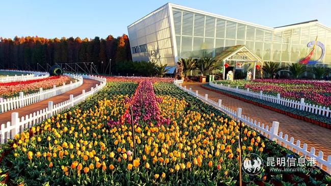 mmexport1579436758176