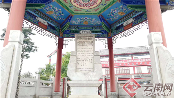 民族之花5 民族之花5