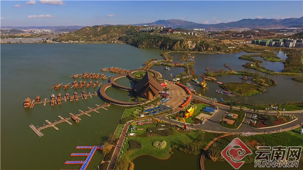 民族之花6 民族之花6