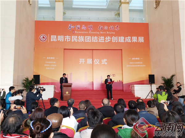 民族之花9 民族之花9