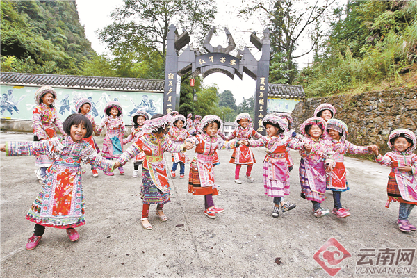 民族之花10 民族之花10