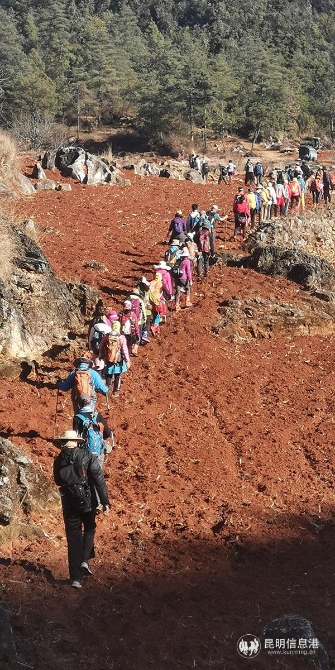 圖一 徒步團(tuán)整齊的隊(duì)伍。供圖